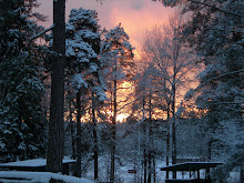 Mitt foto