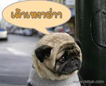 รูปภาพของฉัน