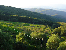 La mia foto