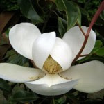 My photo