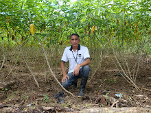 Mi foto