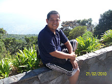 Mi foto