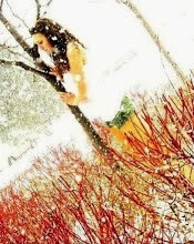 My photo