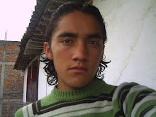 Mi foto