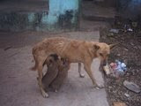 My photo