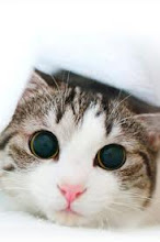 Foto saya