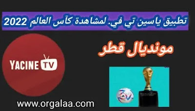 تحميل تطبيق ياسين تي في 2022 لمشاهدة كاس العالم - سيتات آورج 2022 تحميل تطبيق ياسين تي في 2022 لمشاهدة كاس العالم
