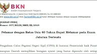 Pelamar dengan Batas Usia 40 Tahun Dapat Melamar pada Enam Jabatan Tertentu