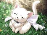My photo