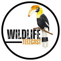 Wildlife Telecast