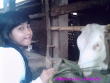 Foto saya