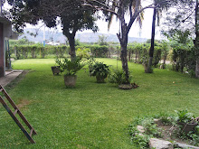 Mi foto