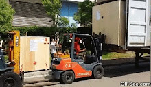 Jasa Rental Forklift