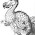 Dodo