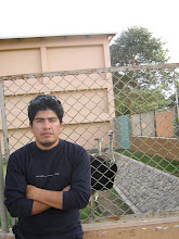 Mi foto