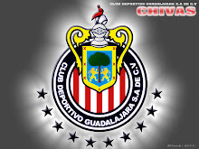 Mi foto