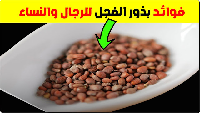 فوائد بذور الفجل للرجال والنساء