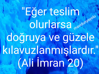 Resim