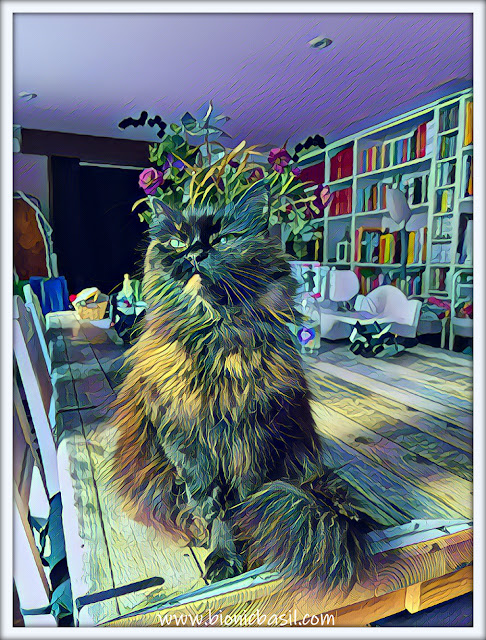 Pandora's Fluffy Craft Room Selfie ©BionicBasil® Caturday Art Blog Hop