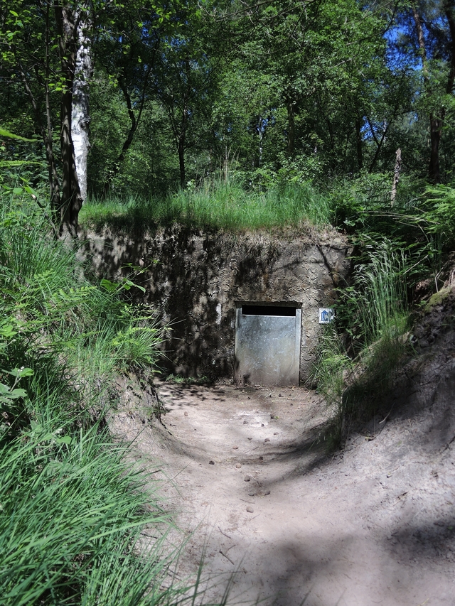 Kapellen: bunkers en loopgraven in het Mastenbos