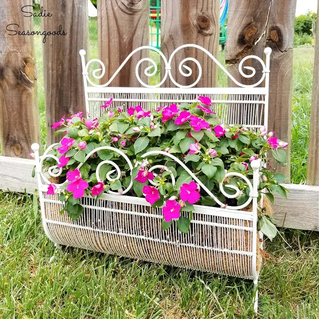 Photo of a metal magazine holder repurposed as a planter.