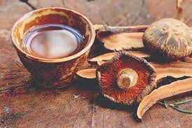 Medicinal Mushrooms and Pharmacological Activities |  Medicinal Mushroom Studies | Medicinal Properties Of Mushroom