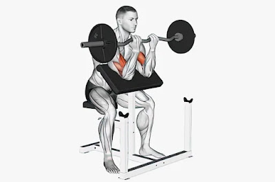 Preacher Curl