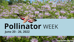 Pollinator Partnership