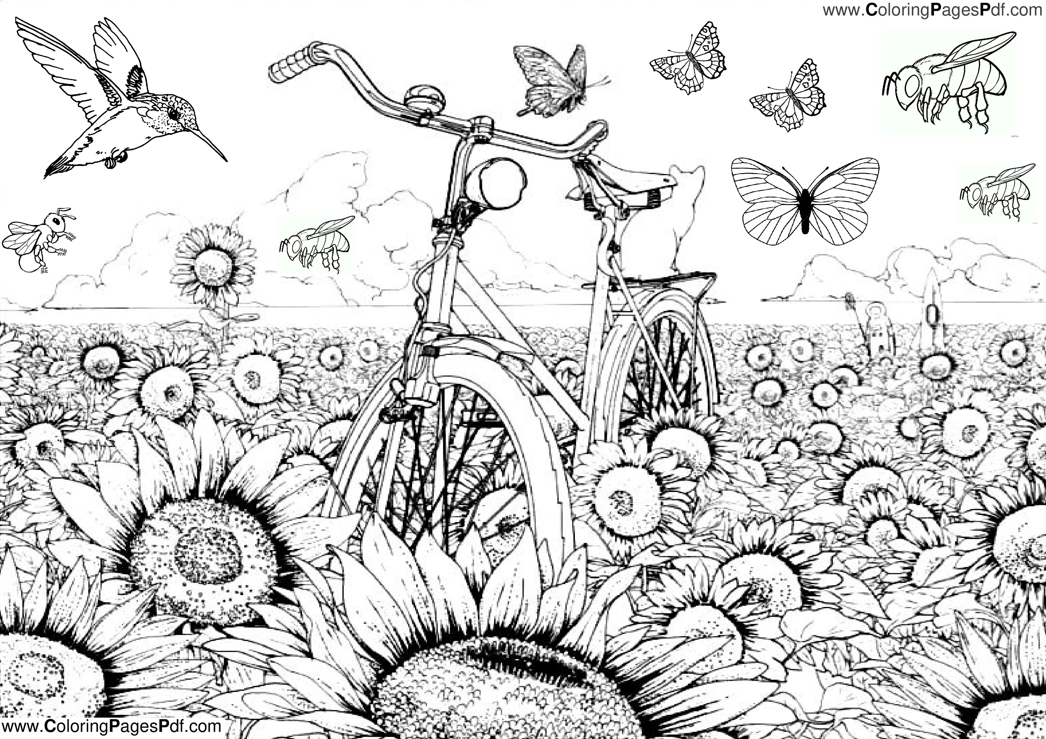 Sunflower coloring page for adults