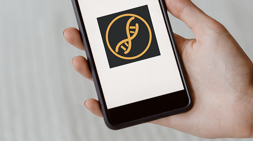 Person Holding a Smartphone with LiveMinerToken Logo