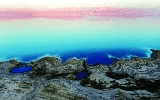 The living and the dead in the dead sea