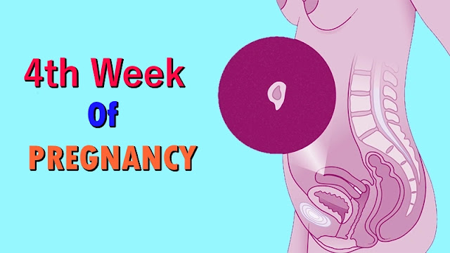 4th week of pregnancy in hindi