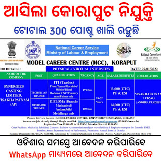 National Career Service Ministry of Labour & Employment Recruitment 2022, Total 300 Post Vacancy, Online Application