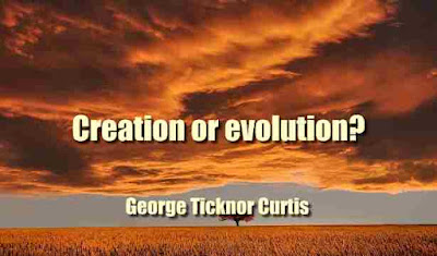 Creation or evolution?
