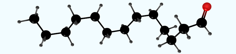Figura 6‑8.   Ejemplo del aldehído de 13 carbonos llamado tridecanal.