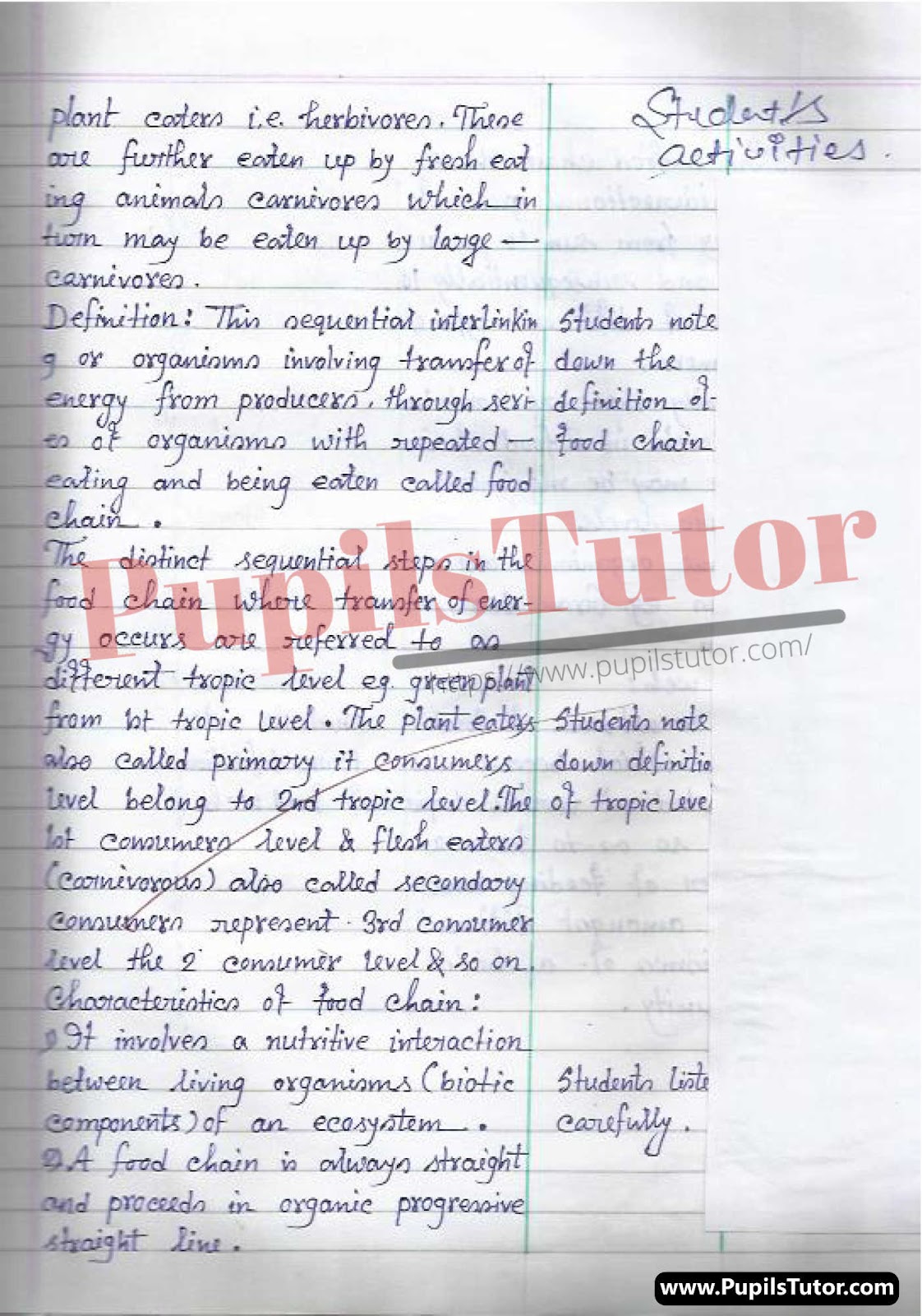 Class/Grade 4 To 8 Biological Science Simulated Teaching  Lesson Plan On Food Chain And Food Web For CBSE NCERT KVS School And University College Teachers – (Page And Image Number 3) – www.pupilstutor.com