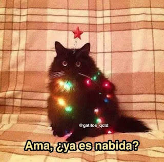 Memes de gatos y navidad