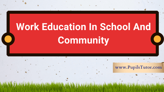 Describe Role Of School In Community Development In Points | Meaning Of Community  | List And Explain Role Of Community In Reference To Work Education - pupilstutor