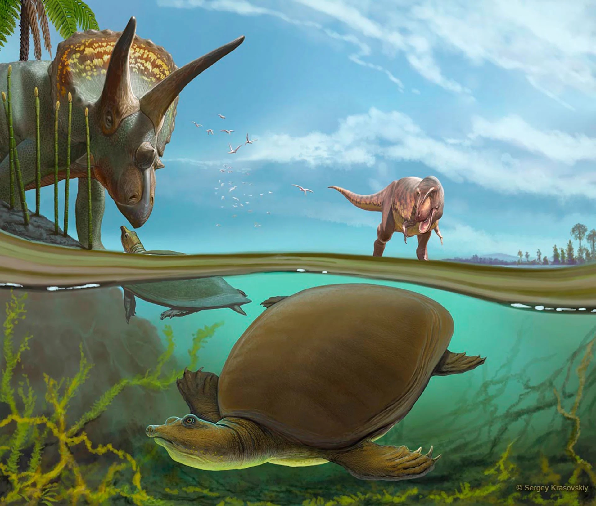Динозавр жил в воде. Динозавры мезозойской эры. Меловой период мезозойской эры. Мезозойская Эра вымирание динозавров.