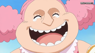 ワンピースアニメ WCI編 836話 | ONE PIECE ビッグ・マム 幼少期 羊の家 Linlin childhood