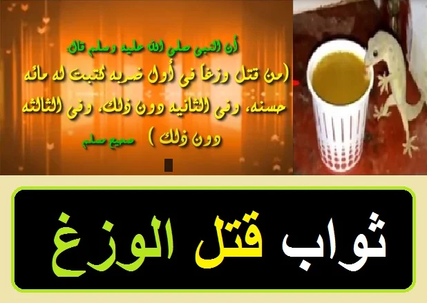 "دعاء طرد الوزغ من المنزل" "دعاء طرد البرص من المنزل"" "دعاء طرد البرص من البيت" "دعاء لطرد البرص من المنزل" "دعاء لطرد الابراص" "دعاء لخروج البرص من المنزل" "دعاء طرد البرص" "دعاء خروج البرص من المنزل" "دعاء لطرد البرص" "البرص فى البيت" "دعاء لطرد الفئران" "دعاء لطرد الفئران عند الشيعة" "دعاء للتخلص من البرص"" "دعاء لطرد البق"