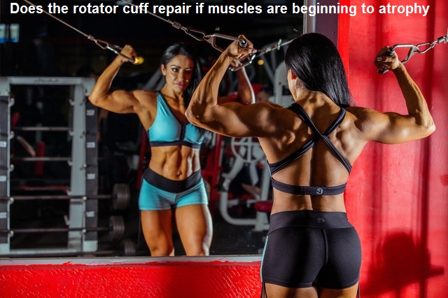 Does the rotator cuff repair if muscles are beginning to atrophy