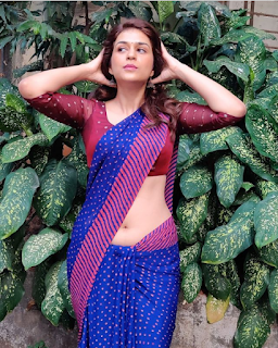 Sexy 222+ Actress Shraddha Das Hot Latest HD Photos Navel Queens