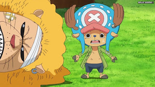 ワンピースアニメ 779話 チョッパー ペコムズ | ONE PIECE Episode 779