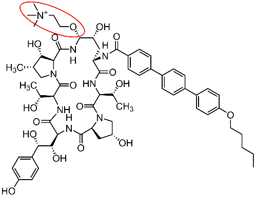 Cidara Therapeutics Announces FDA Acceptance For Priority Review Of New Drug Application For Rezafungin For The Treatment Of Candidemia And Invasive Candidiasis