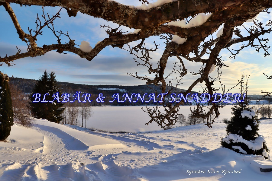 Blåbär och annat snadder.