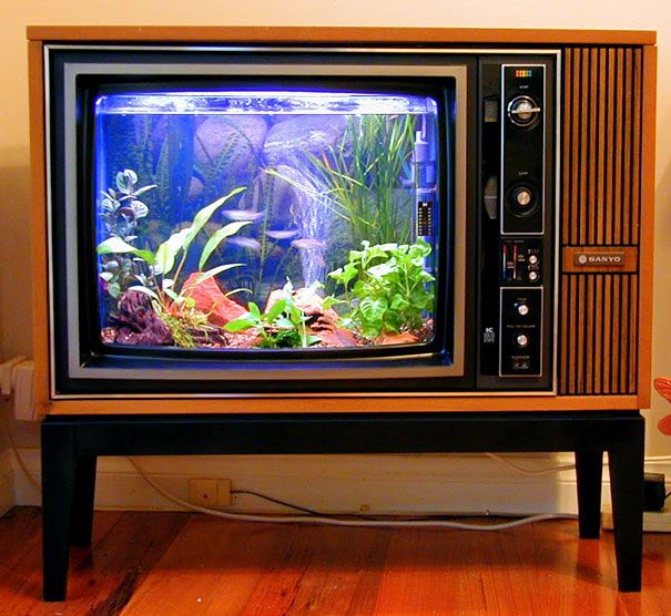 Aquarium TV