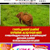 റാണിപുരത്ത് ട്രക്കിങ്  വഴിയിൽ കാട്ടാനയിറങ്ങി  സഞ്ചാരികളുടെ സുരക്ഷ കണക്കിലെടുത്ത്   ഇന്നത്തെ ട്രക്കിങ്ങ് താൽക്കാലികമായി നിറുത്തി