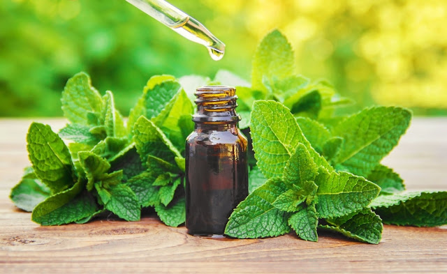 Is Peppermint Oil Beneficial in Treating Irritable Bowel Syndrome?