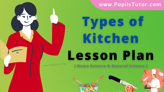 Types Of Kitchen Lesson Plan For B.Ed, DE.L.ED, M.Ed 1st 2nd Year And Class 9th Home Science Teacher Free Download PDF On Microteaching Skill Of Introduction And Reinforcement In English Medium. - www.pupilstutor.com